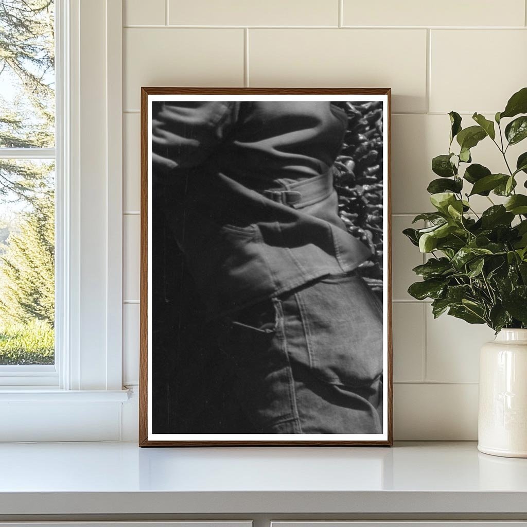 Chili Peppers Drying on Adobe House Concho Arizona 1940 - Available at KNOWOL