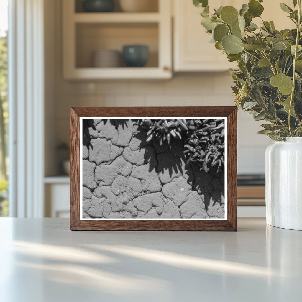 Chili Peppers Drying on Adobe House in Concho Arizona 1940 - Available at KNOWOL