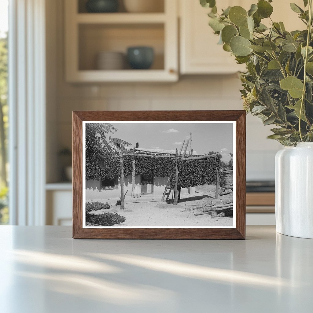 Chili Peppers in Isleta New Mexico 1940 - Available at KNOWOL
