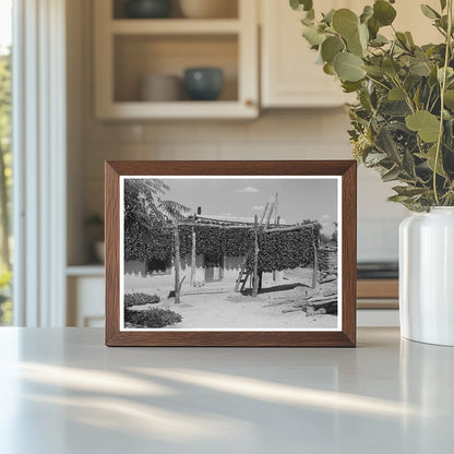 Chili Peppers in Isleta New Mexico 1940 - Available at KNOWOL