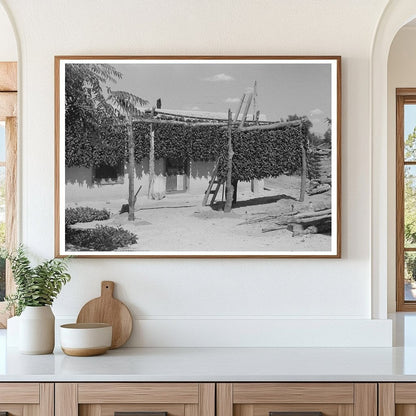 Chili Peppers in Isleta New Mexico 1940 - Available at KNOWOL