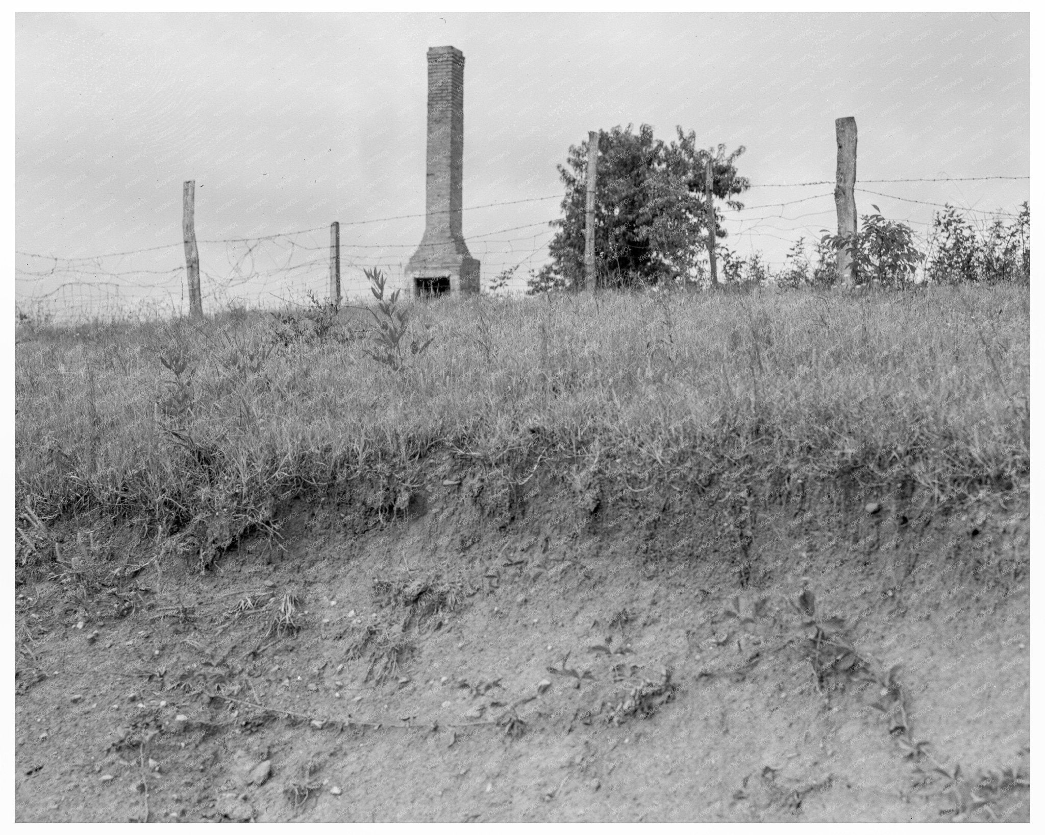 Chimneys of Former Plantations Greene County Georgia 1937 - Available at KNOWOL