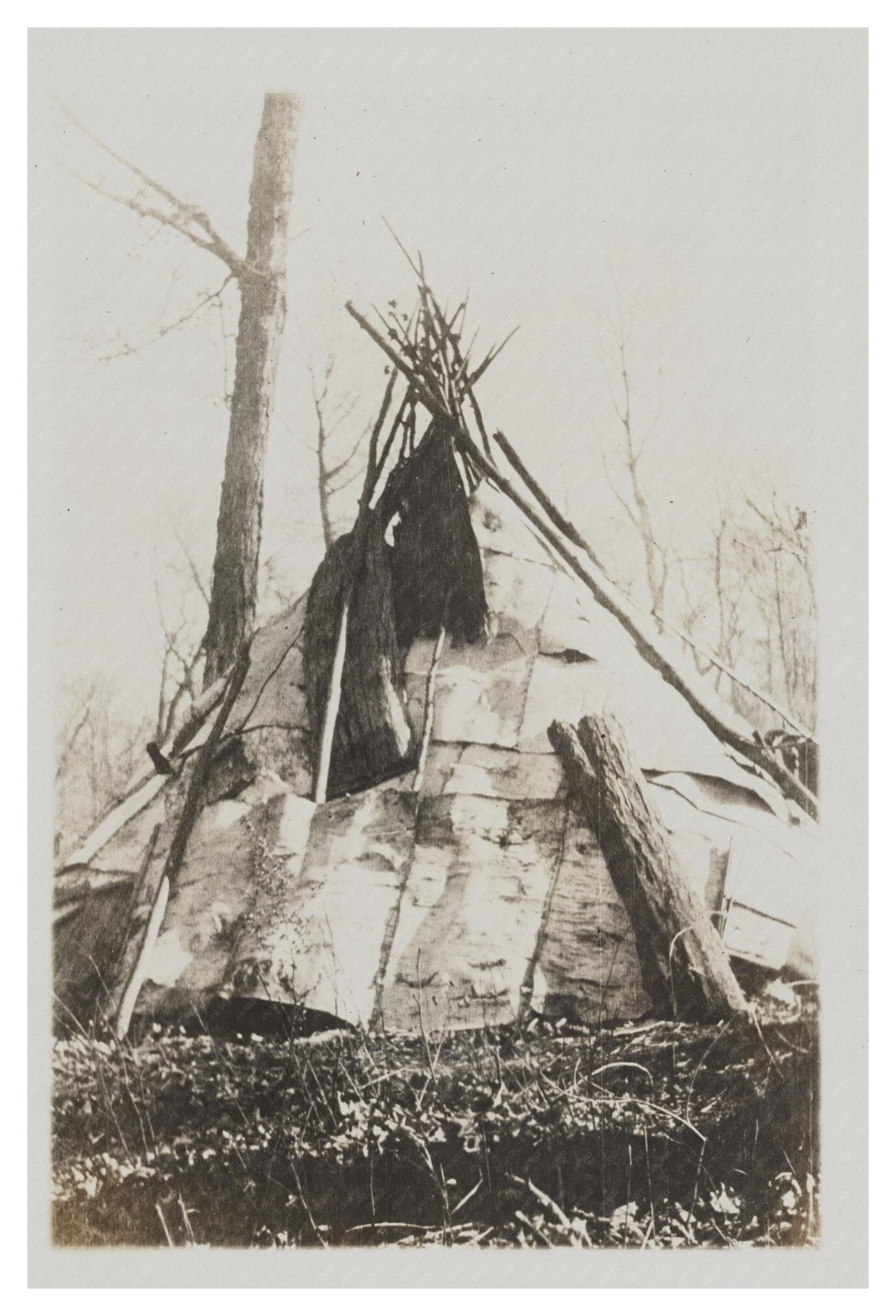 Chippewa Birch Bark Wigwam Vintage Photo 1909 - 1932 - Available at KNOWOL