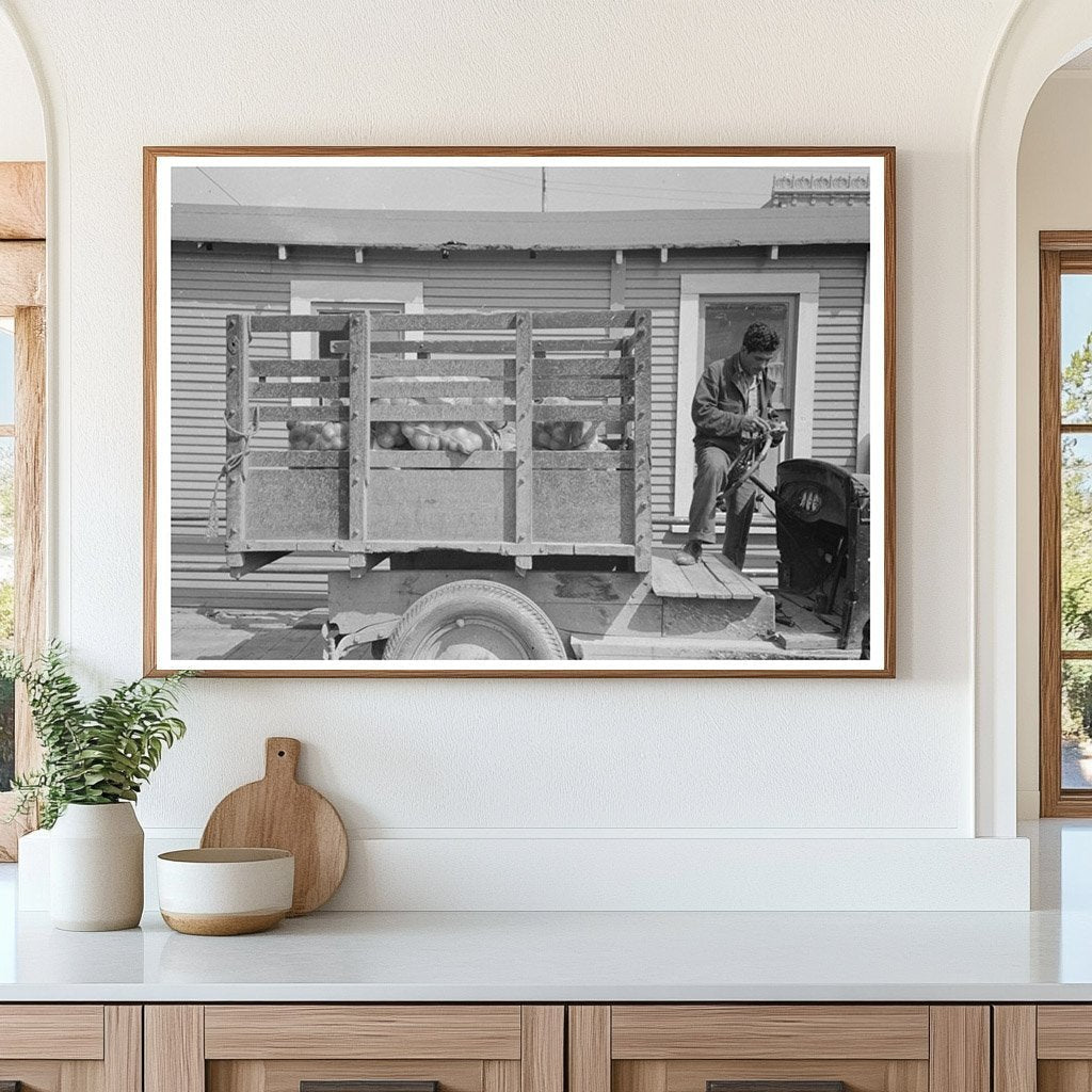 Citrus Fruit Display in San Antonio Market 1939 - Available at KNOWOL