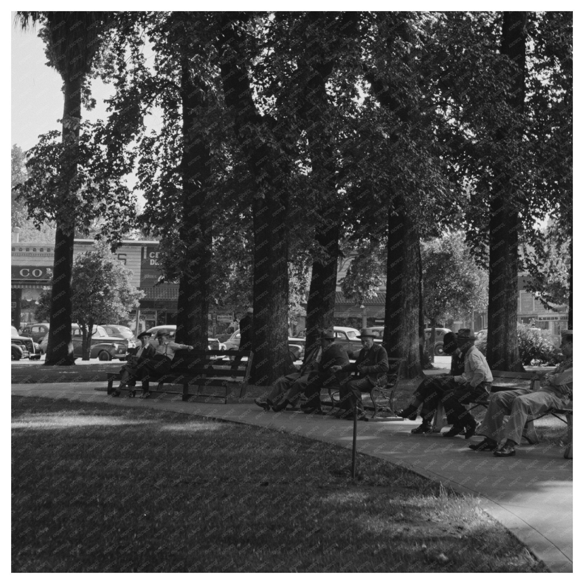 City Park Scene in Butte County June 1942 - Available at KNOWOL