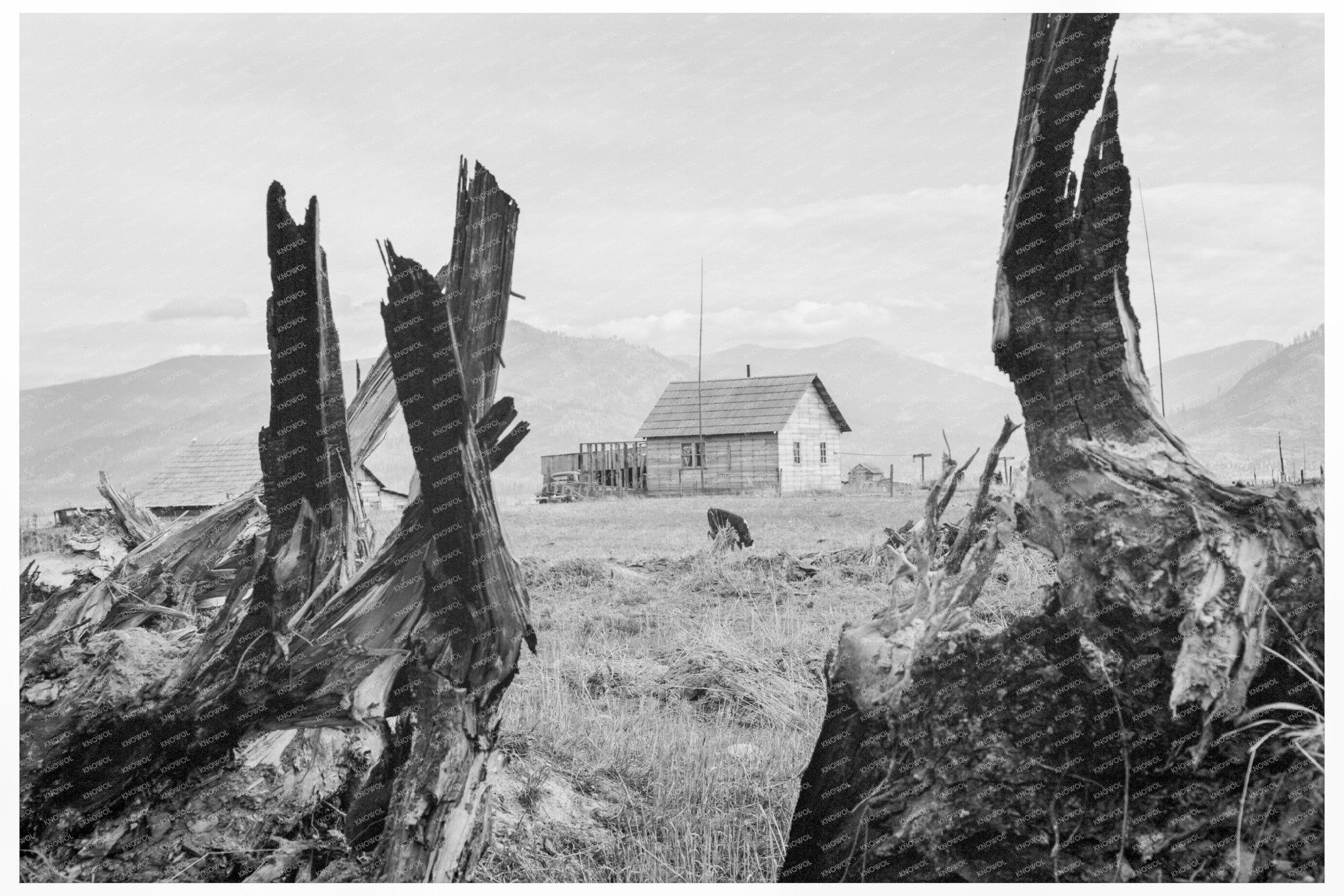 Cleared Land in Priest River Valley Idaho October 1939 - Available at KNOWOL