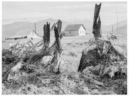 Cleared Landscape in Priest River Valley Idaho 1939 - Available at KNOWOL