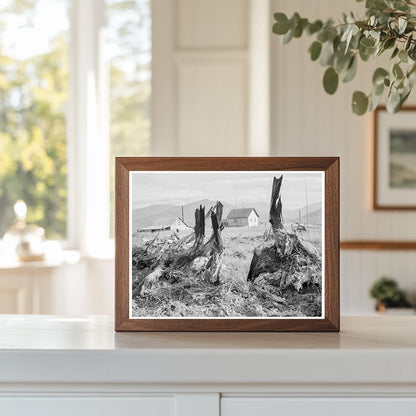 Cleared Landscape in Priest River Valley Idaho 1939 - Available at KNOWOL