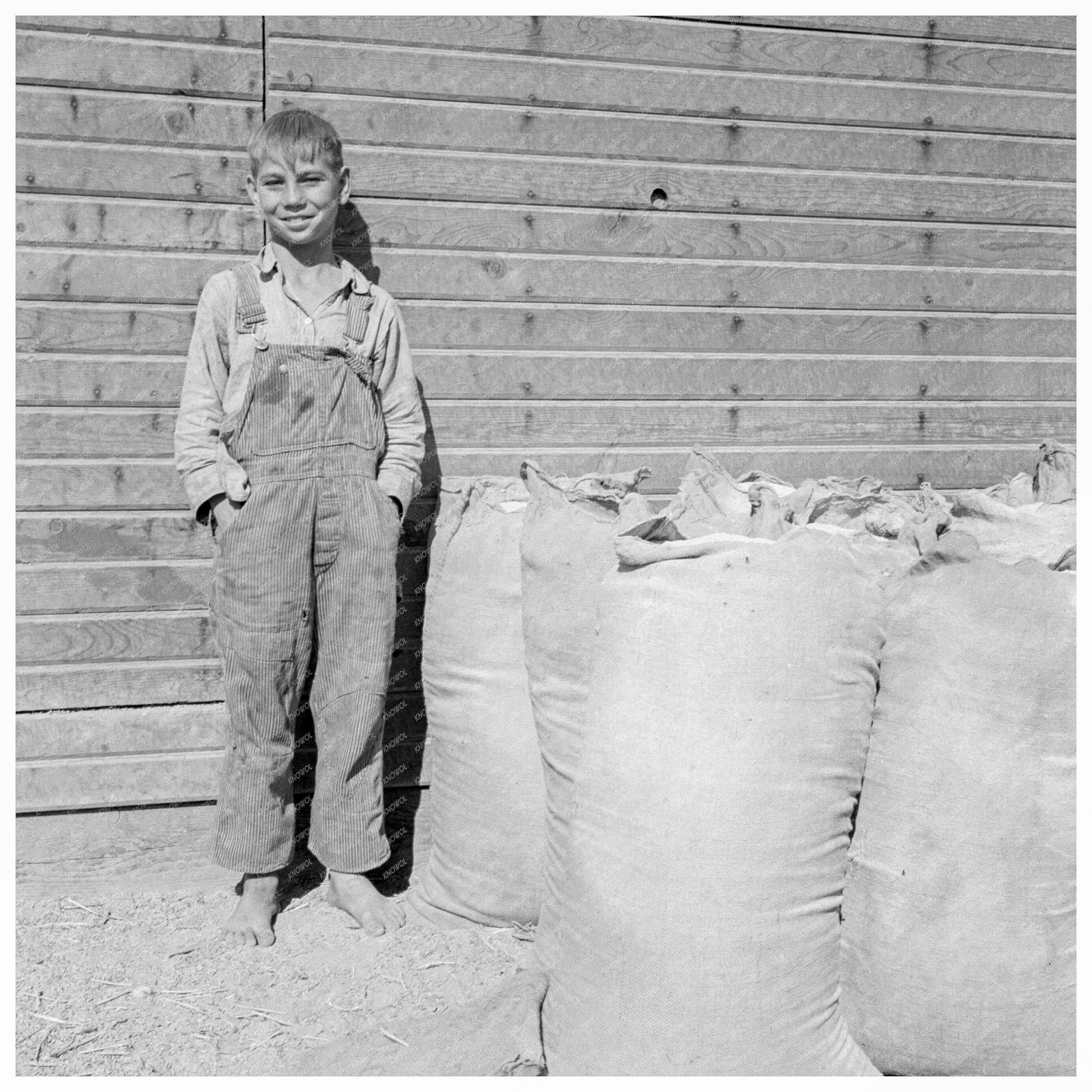 Cleaver Boy on Farm Malheur County Oregon 1939 - Available at KNOWOL