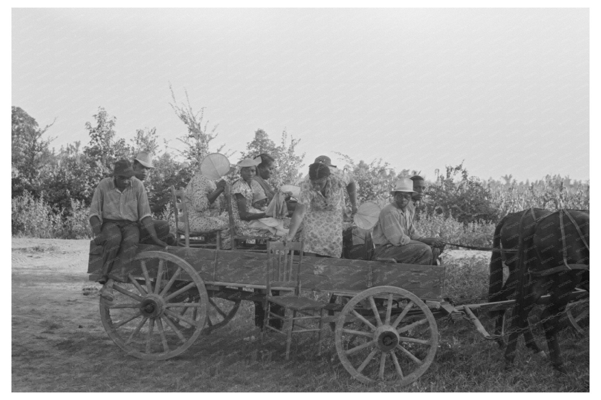 Clients Arriving by Wagon at Cooperative Meeting 1938 - Available at KNOWOL