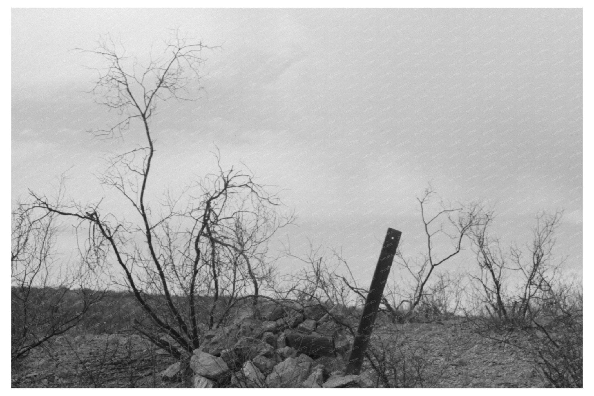 Cochise County Arizona Miners Monument April 1940 Image - Available at KNOWOL