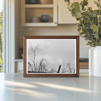 Cochise County Miners Monument Arizona 1940 - Available at KNOWOL