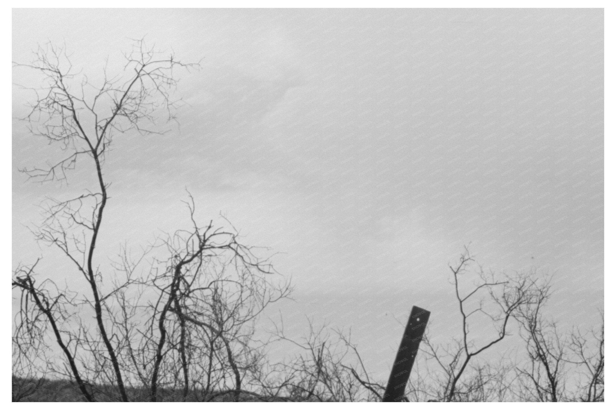 Cochise County Miners Monument Arizona 1940 - Available at KNOWOL