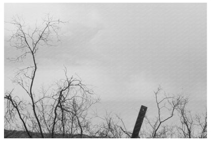 Cochise County Miners Monument Arizona 1940 - Available at KNOWOL