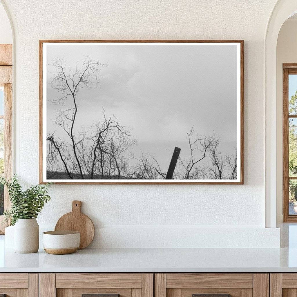 Cochise County Miners Monument Arizona 1940 - Available at KNOWOL