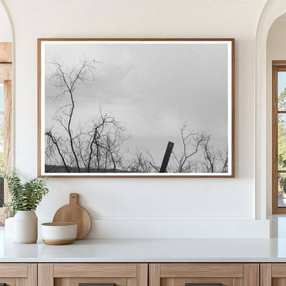 Cochise County Miners Monument Arizona 1940 - Available at KNOWOL