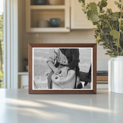 Combine Harvester and Wheat Harvesting in 1941 Washington - Available at KNOWOL