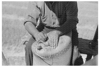 Combine Harvester and Wheat Harvesting in 1941 Washington - Available at KNOWOL