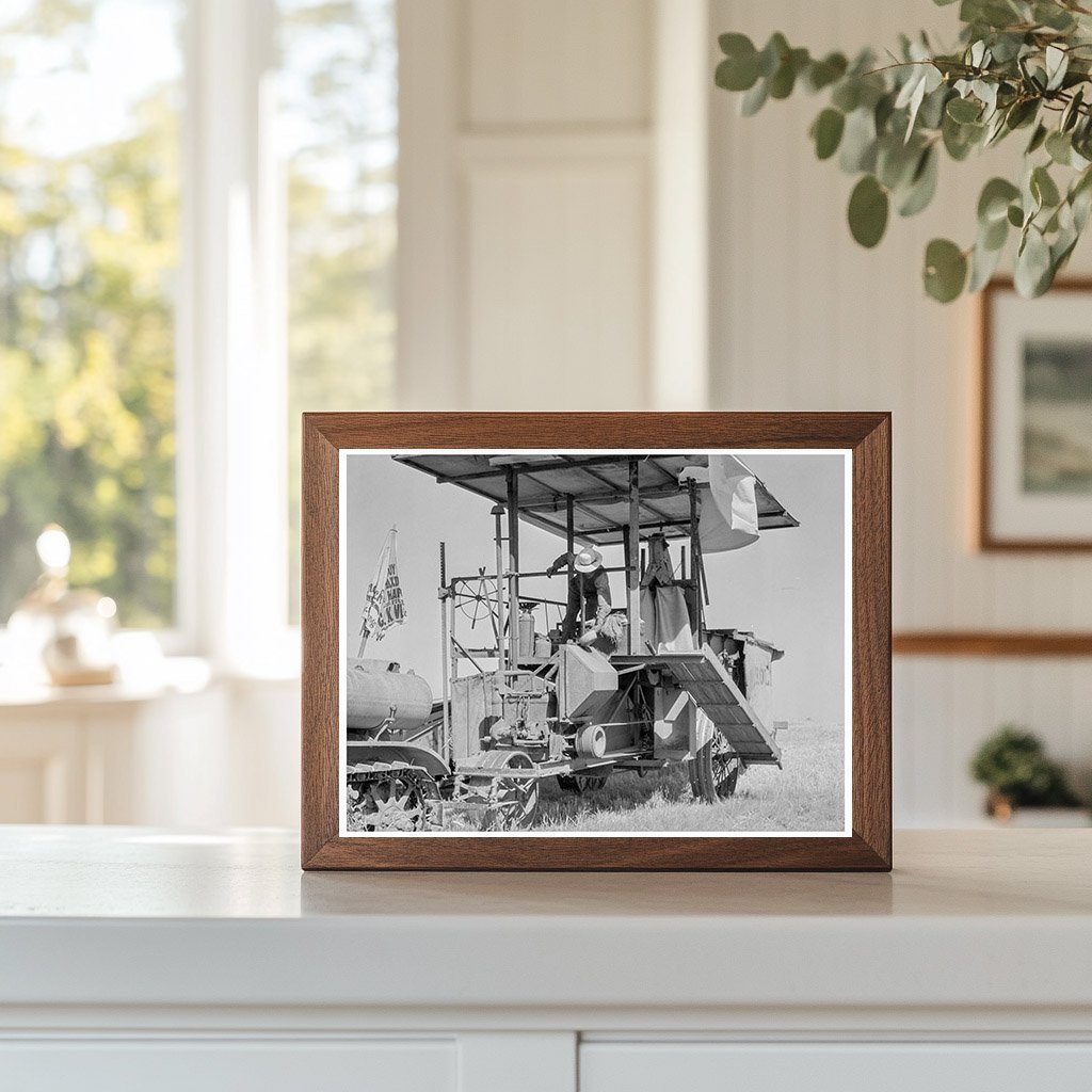 Combine Harvester in Wheat Field San Joaquin Valley 1938 - Available at KNOWOL