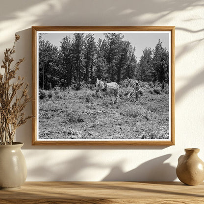 Community Garden in Hillhouse Mississippi 1937 - Available at KNOWOL