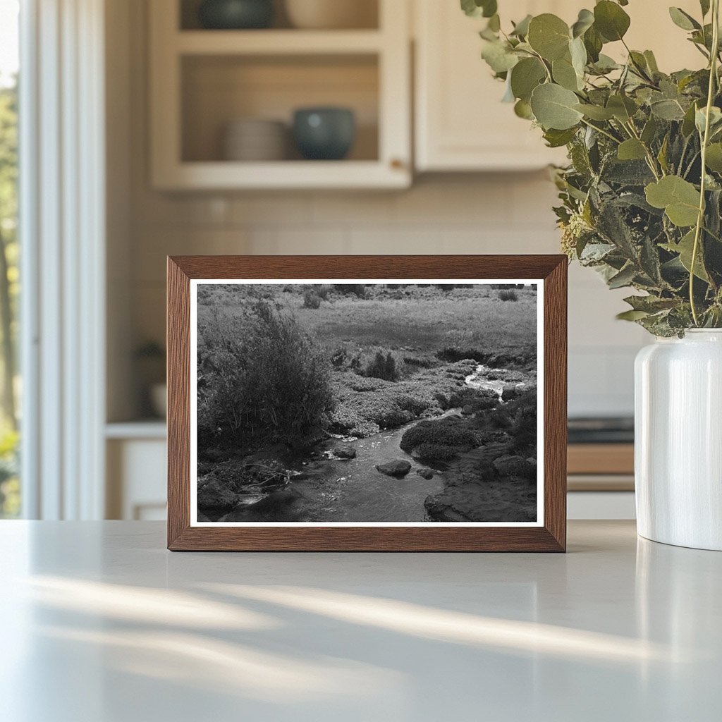 Concho Arizona Spring Water for Irrigation 1940 Image - Available at KNOWOL