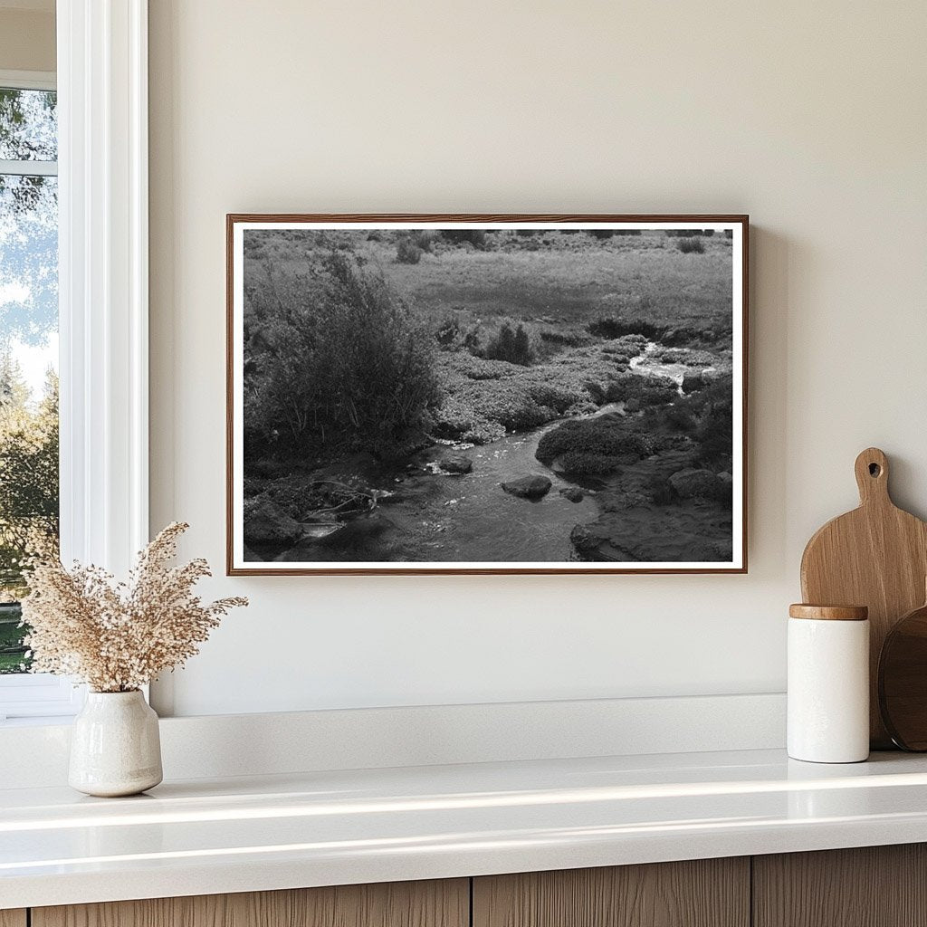 Concho Arizona Spring Water for Irrigation 1940 Image - Available at KNOWOL