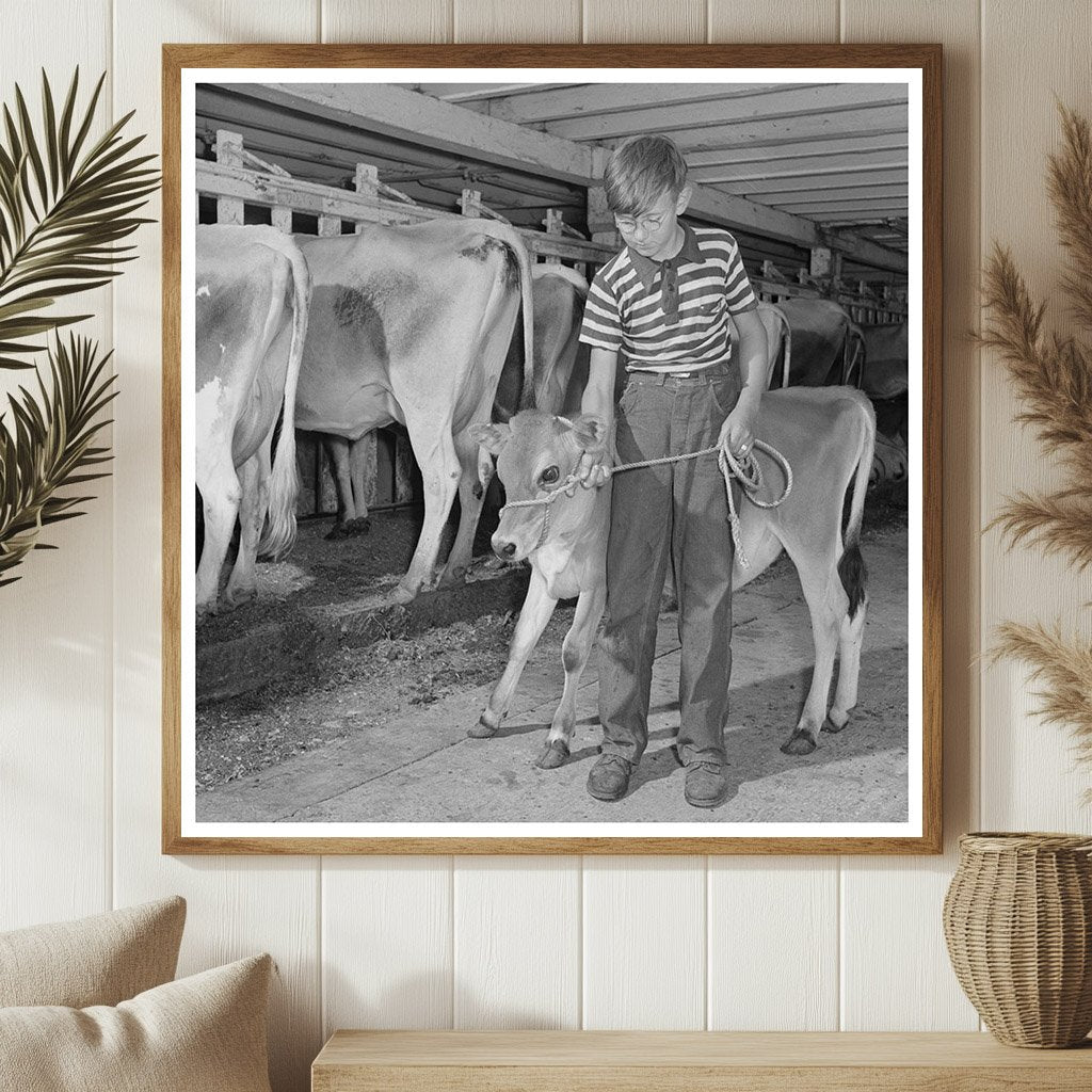 Conrad with Jersey calf in Vermont 1944 4 - H project - Available at KNOWOL