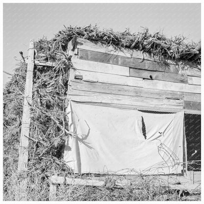 Construction of Chicken House in Oregon 1939 - Available at KNOWOL