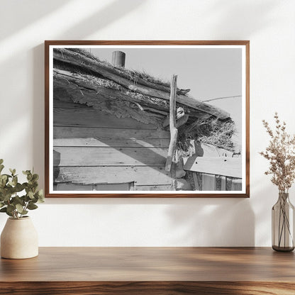 Construction of Elmer Thompsons Shack Montana 1937 - Available at KNOWOL