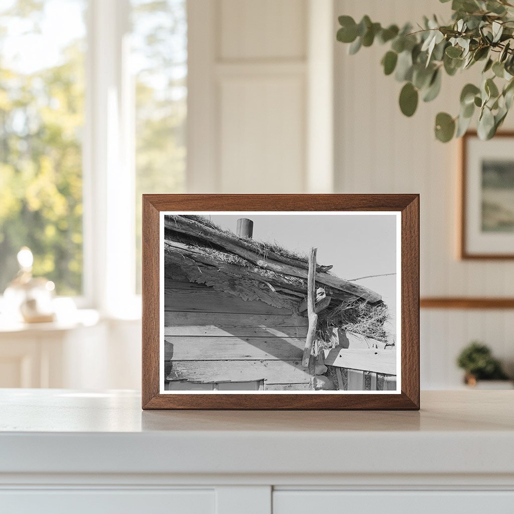 Construction of Elmer Thompsons Shack Montana 1937 - Available at KNOWOL