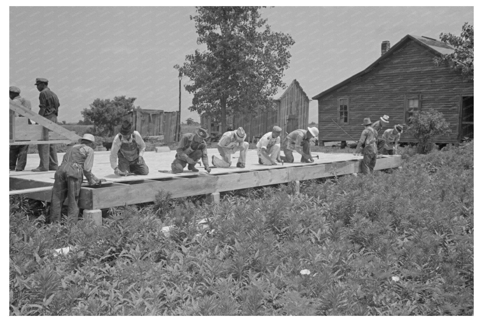 Construction Site in New Madrid County May 1938 - Available at KNOWOL