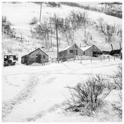 Consumers Coal Town Housing Utah March 1936 - Available at KNOWOL