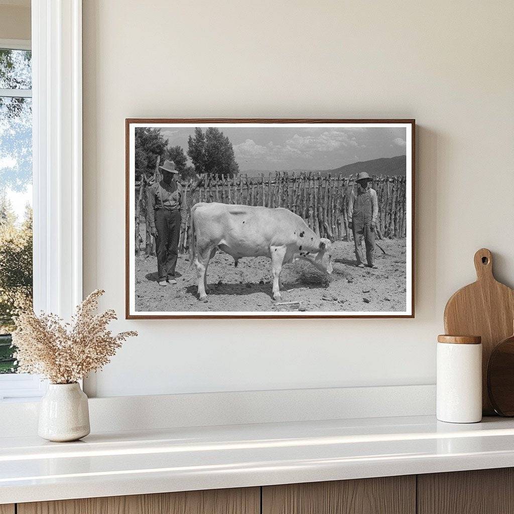 Cooperative Bull Farm Security Administration July 1940 - Available at KNOWOL