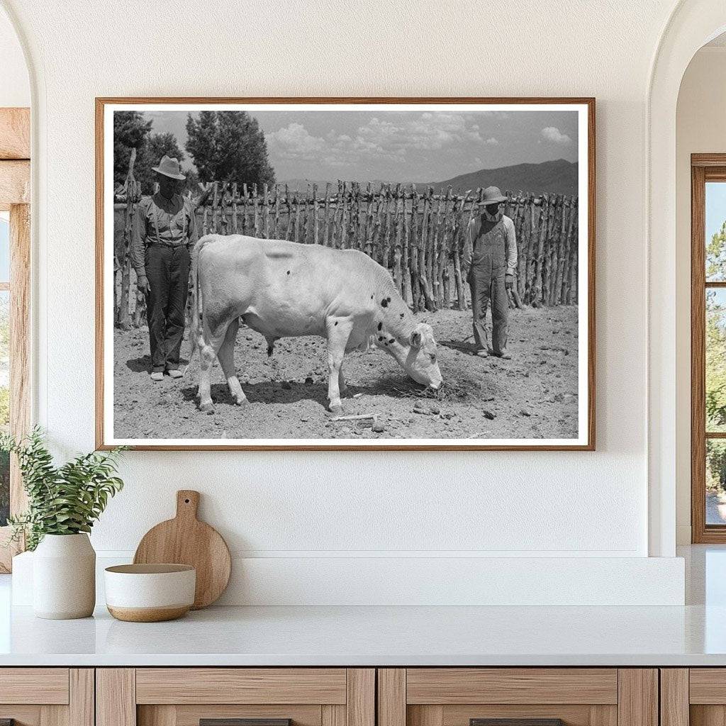 Cooperative Bull in Box Elder County Utah 1940 - Available at KNOWOL
