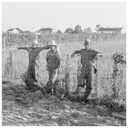 Cooperative Farm in Lake Dick Arkansas June 1939 - Available at KNOWOL