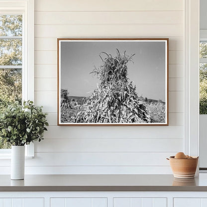 Corn Field in Shock Sunset Valley Oregon 1939 - Available at KNOWOL