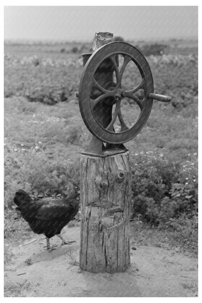 Corn Grinder on Tenant Farm Warner Oklahoma 1939 - Available at KNOWOL