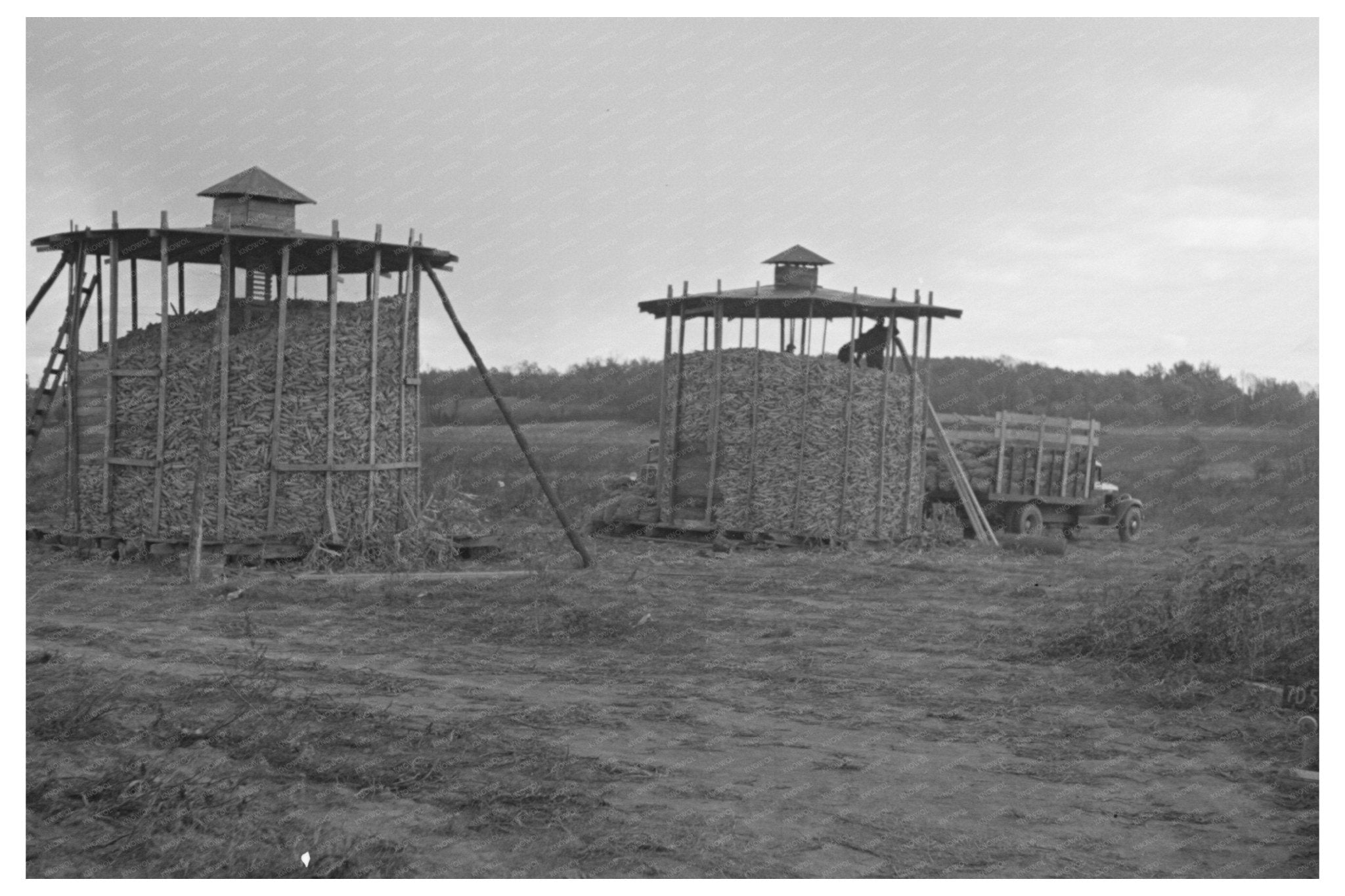 Corn Storage for Dairy Herd Hightstown New Jersey 1936 - Available at KNOWOL