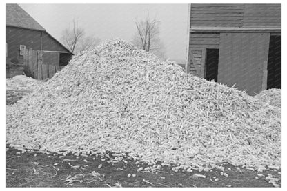 Corncobs on Emmet County Farm Iowa December 1936 - Available at KNOWOL