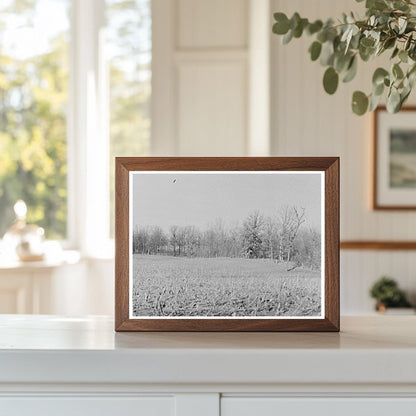 Cornfields Erosion in McLeansboro Illinois February 1937 - Available at KNOWOL