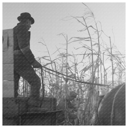 Cornhusking Contest in Ontario Oregon 1941 - Available at KNOWOL