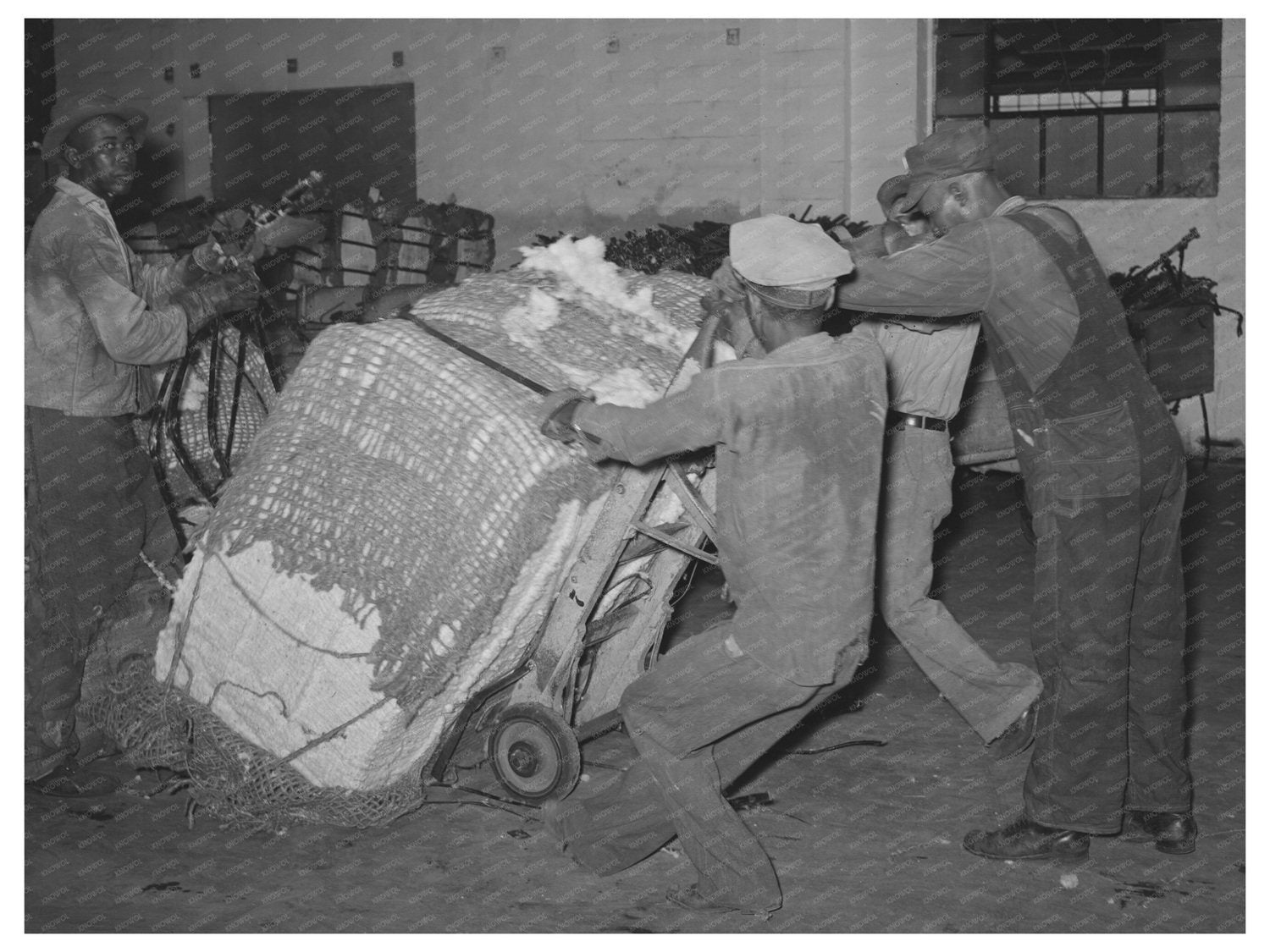 Cotton Bale Loading Process Houston Texas 1939 - Available at KNOWOL