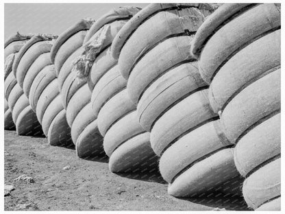 Cotton Bales in Bakersfield Gin Yard May 1938 - Available at KNOWOL