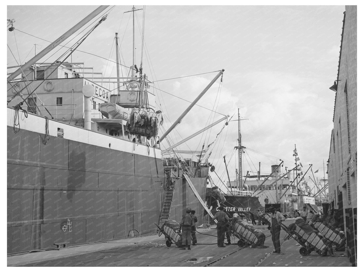 Cotton Bales Loaded for Export at Port of Houston 1939 - Available at KNOWOL
