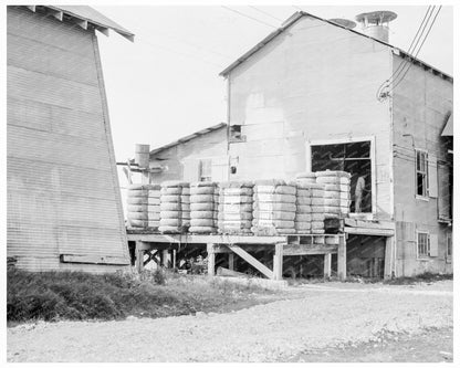 Cotton Bales on Gin Platform Robstown Texas 1936 - Available at KNOWOL