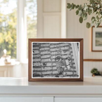 Cotton Bales Stored on Freighter in Houston 1939 - Available at KNOWOL