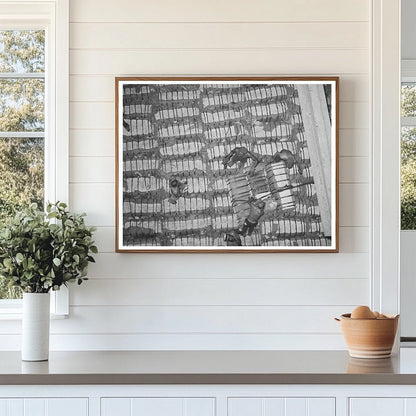 Cotton Bales Stored on Freighter in Houston 1939 - Available at KNOWOL