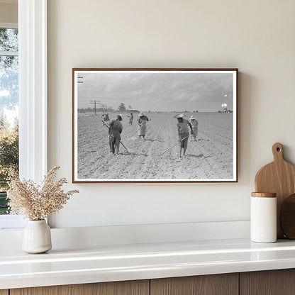 Cotton Chopping in New Madrid County Missouri May 1938 - Available at KNOWOL