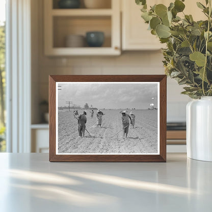 Cotton Chopping in New Madrid County Missouri May 1938 - Available at KNOWOL