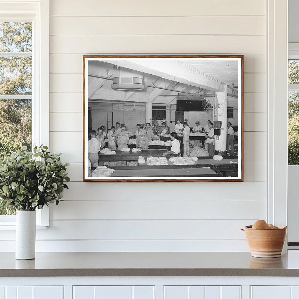 Cotton Compress Sampling Room Houston Texas 1939 - Available at KNOWOL